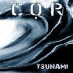 Tsunami - Cover